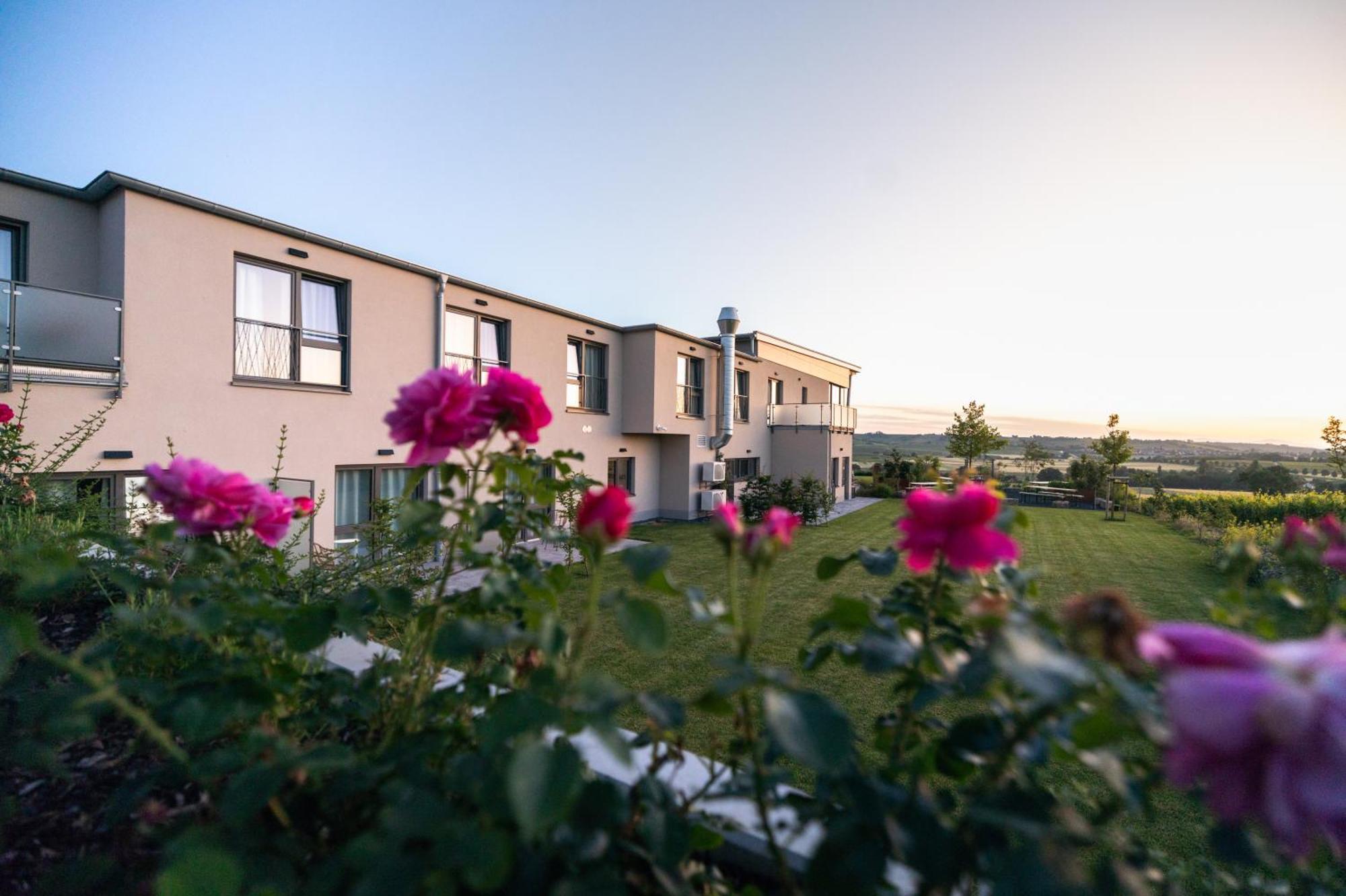 Weinzuhause Hotel-restaurant-vinothek Hotel Mommenheim